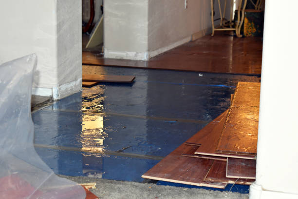 Professional Basement Flooding technician working in Laurier, WA